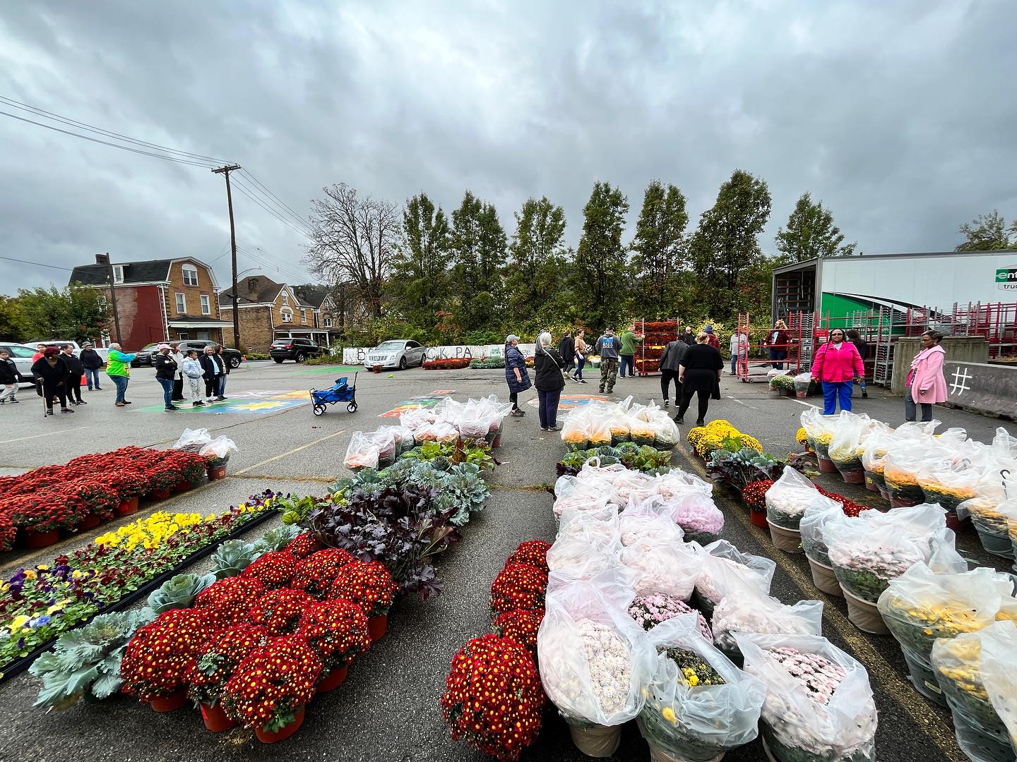 So many mums @freestore15104 while supplies last!