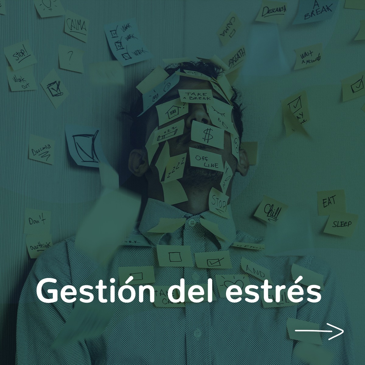 El calor del mes de agosto puede ser agobiante, tanto en términos meteorológicos como emocionales. Además, a la vuelta al trabajo una vez se acaban las vacaciones es común que el estrés aumente y afecte nuestra salud mental y bienestar general. En nuestra CIE Almoradí, entendemos los desafíos que este mes puede presentar y estamos aquí para ofrecer orientación y apoyo en la gestión del estrés.
Encuentra el artículo completo en nuestro blog:
Ciealmoradi.com/blog
? www.ciealmoradi.com ? 683 373569
? psicologiacie@gmail.com
#estres #psicología #agosto #depresión #postvacacional #CIEAlmoradí