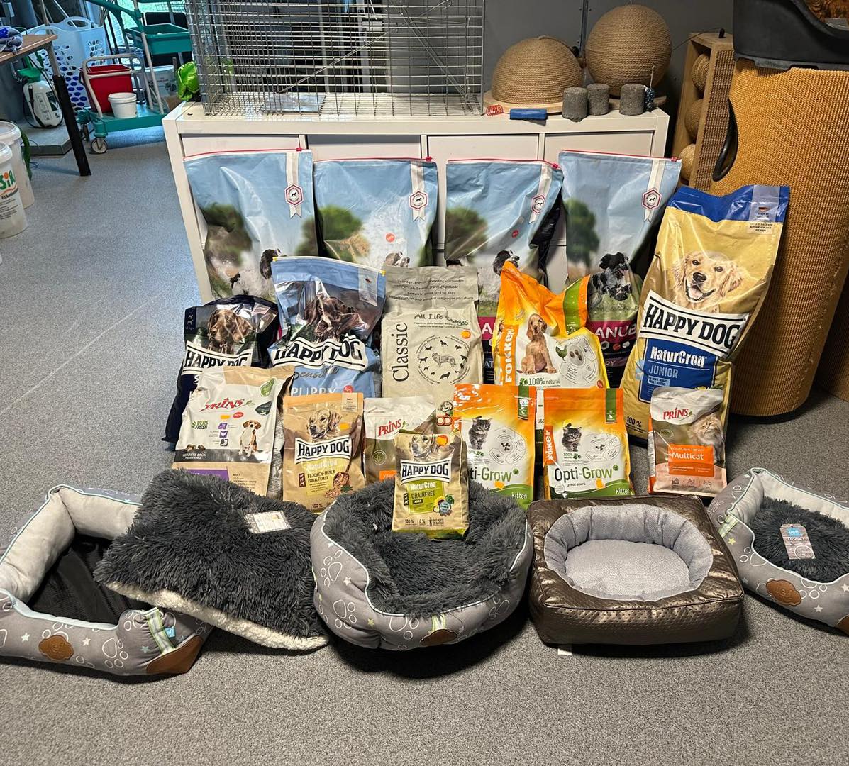 Wat een verrassing! 🎁
We werden verrast door Tuincentrum de Bosrank uit Haaften met een prachtige donatie voor de dieren in ons opvangtehuis.
Voeding voor zowel honden als katten en zachte mandjes waar de katten heerlijk in weg kunnen dromen en soezen.
Namens onze dieren en vrijwilligers: ontzettend bedankt voor deze fijne steun! ❤️
#tuincentrumdebosrank #donatie #dankbaar #dierenopvangtehuis #bommelerwaard