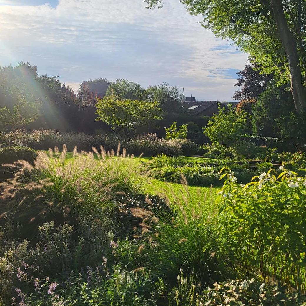🌿 Guten Morgen aus der Gartenpflege am Niederrhein!
Pia hat vor ein paar Tagen diesen schönen Schnappschuss bei unseren Kunden eingefangen. 📸
Wir lieben es, zu sehen, wie sich ein Privatgarten über die Jahre entwickelt: eingewachsene und harmonisch abgestimmte Pflanzungen wie dieses Terrassenbeet mit Phlox David, Pennisetum Hameln, Salvia Adrian, Anaphalis Sommerschnee und Nepeta Walkers Low, das den Blick gezielt in den Garten führt.
Denn professionelle Gartenpflege bedeutet für uns, wir_sind_gaertner_von_eden mehr als Schneiden und Jäten. Wir beobachten die Entwicklung der Pflanzen, erkennen frühzeitig, was sie brauchen, und sorgen mit fachgerechter Pflege dafür, dass ein Pflanzkonzept langfristig funktioniert. 🌱
Und ganz ehrlich: Solche Beete zu pflegen, macht uns besonders große Freude 💚
#gartenpflege #gartengestaltung #privatgarten #stauden #pflanzen