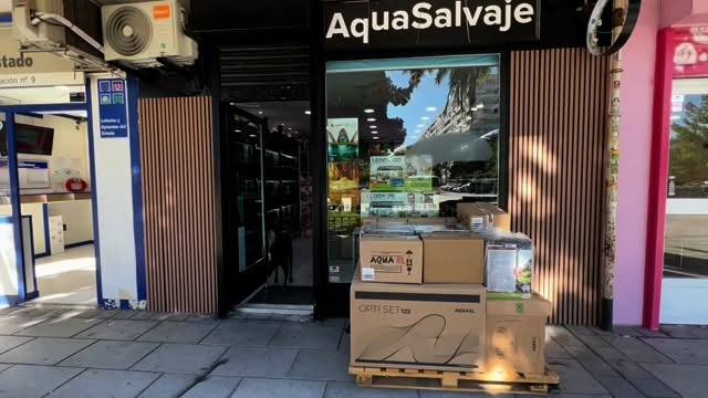 Un palet cargado de productos Aquael acaba de aterrizar en nuestra tienda ??.
Pero lo más emocionante es que hemos sido elegidos en España para exponer en primicia la nueva gama de acuarios OptiSet en color gris ?.
Un diseño elegante, cristal óptico y acabados premium que harán que tu acuario luzca espectacular.
Ven a verlo en persona… ¡y sé de los primeros en descubrirlo! ?
⸻
✨ #Aquasalvaje #Aquael #OptiSet #OptiSetGris #Acuarios #Aquascaping #Acuariofilia #Peces #NatureAquarium #FishTank #AquariumDesign #AcuarioOptico #AquascapeSpain #Aquarist #aquariumlovers