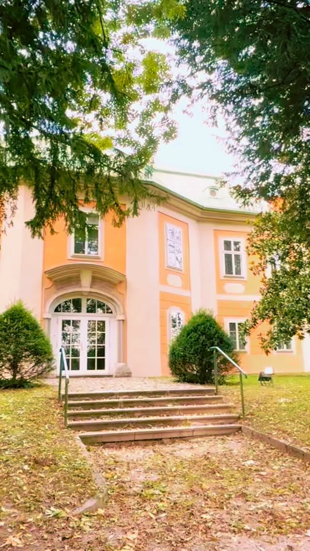 Bergschlösspark Linz in Gefahr - der Baumbestand soll wegen des geplanten Westring-Tunnels gerodet werden. #linz #westring #linzamagazin #bergschlössl Bergschlösspark Linz in Gefahr - der Baumbestand soll wegen des geplanten Westring-Tunnels gerodet werden. #linz #westring #linzamagazin #bergschlössl