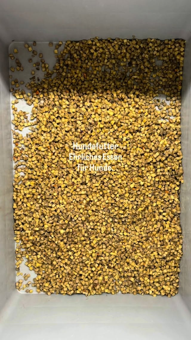 Hundefutter ❌
Ehrliches Essen für Hunde ✅#aktivdog #hundefutter #frischfutter #swissmade #produktion