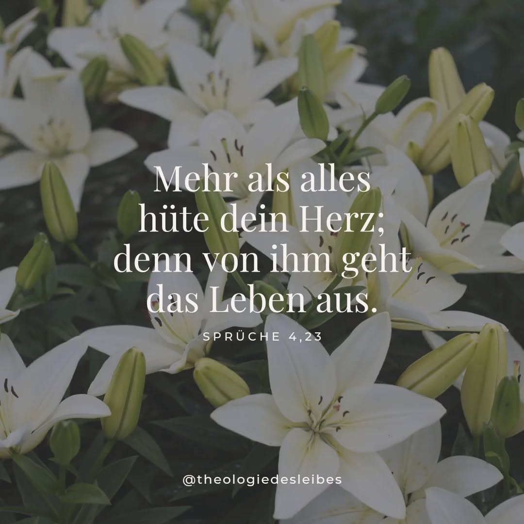 Eine kleine Erinnerung mitten im Alltag, da wo du gerade stehst: Alles womit du dich umgibst - Bücher, Filme, Musik - wird dein Herz rein halten oder eben belasten und verschmutzen. Wähle weise.
.
.
.
#reinheit #herz #selbstschutz #rein #bibel #bibelvers #sprüche #zitat #theologiedesleibes #tdl #johannespaulii #jp2