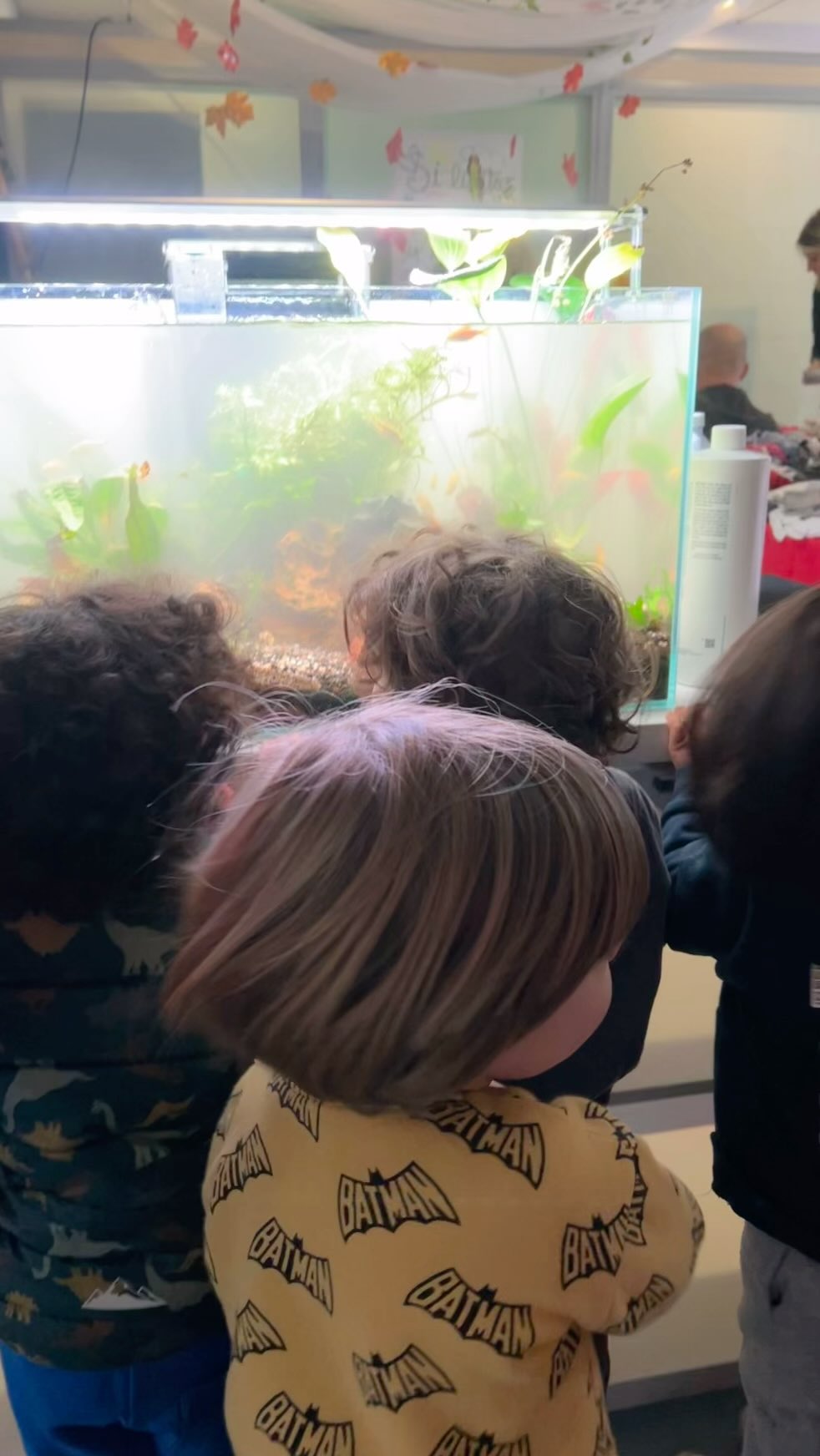 Acercando a los más peques esta maravilla afición. A partir de ahora los peques de la escuela infantil Altair podrán disfrutar de su propio acuario, de esta manera conseguimos acercarles un poquito de naturaleza en su día a día.
〰️〰️〰️〰️〰️〰️〰️
#aquasalvaje #aquarium #madrid #alcorcon #aquascaping #aquascape #aluche #lasaguilas #aquariumdesign #acuarioplantado #aquariumhobby #aquascaper #baby #babyschool