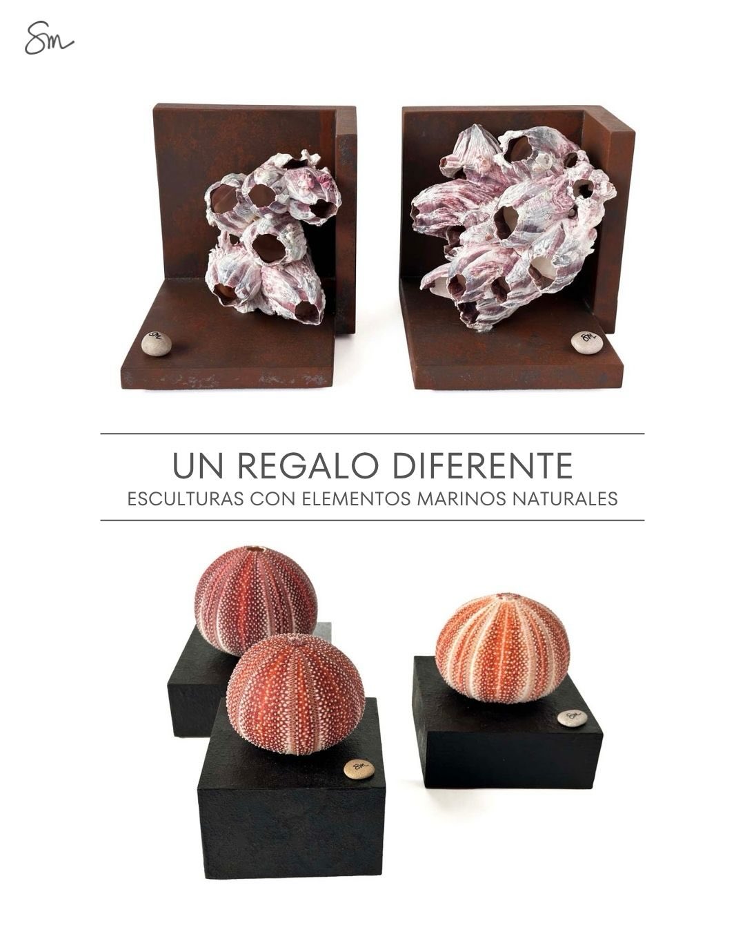 ✨ 23 años creando momentos especiales ✨ GRACIASSSSSSSSSS!!!!
En Los Detalles estamos de aniversario… ¡y lo celebramos contigo!
Durante estos 23 años hemos formado parte de vuestros regalos, sorpresas, decoraciones y recuerdos, y no podemos estar más agradecidos.
Para celebrarlo, te regalamos un 23% de descuento en todos los productos en stock (os dejo el link en la bio).
Y como el Día de la Madre está a la vuelta de la esquina… es el momento perfecto para encontrar ese regalo especial y sorprenderla, porque ella se lo merece todo.
Código: DSM23 válido hasta el 29/4/26 a las 23:59
Gracias por seguir ahí… ¡vamos a por muchos años más juntos!
#Aniversario #losdetallesdesonia #DiaDeLaMadre #cuandoloartificialresultanatural #RegalosConAmor Descuento