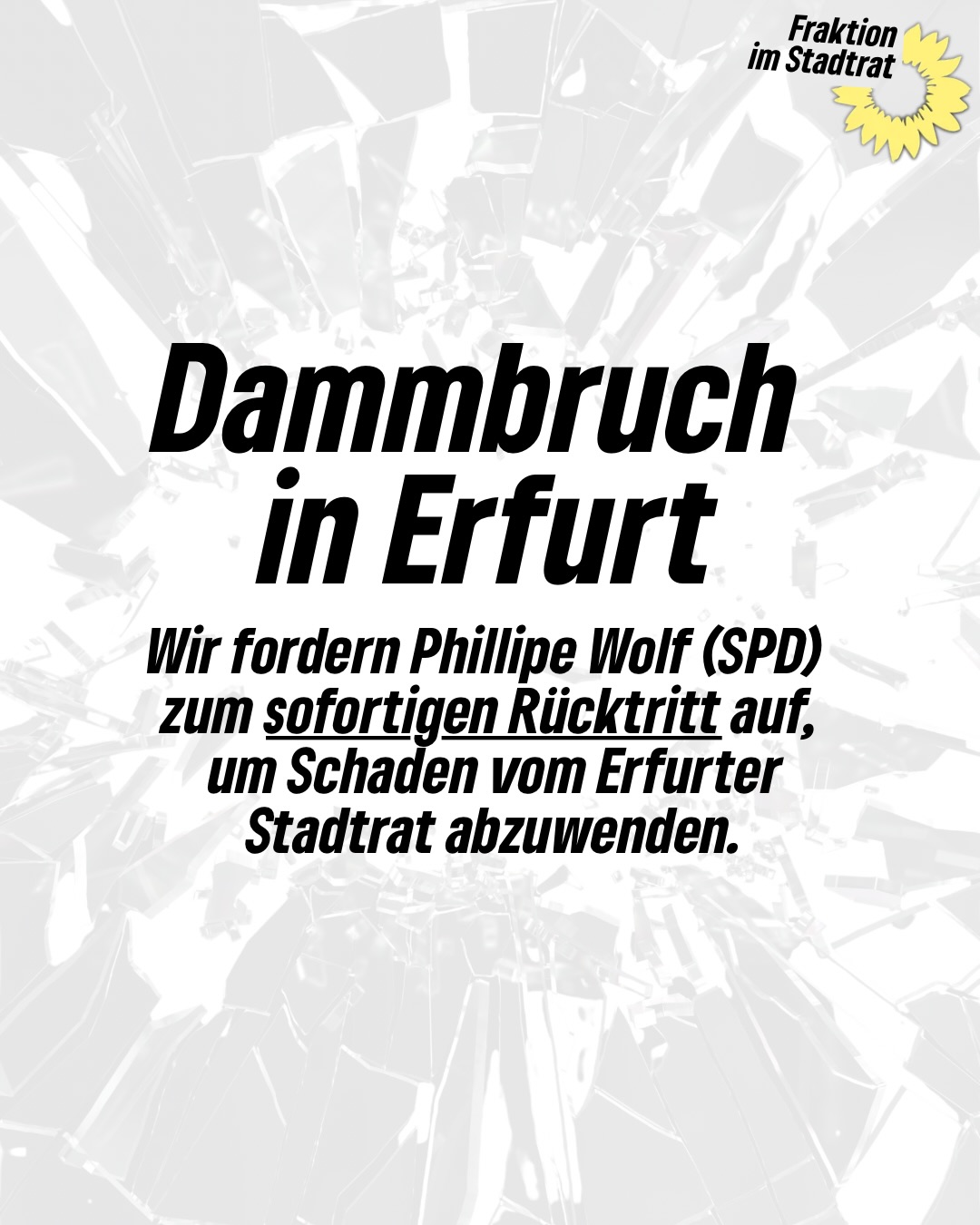 Dammbruch in Erfurt - CDU und Teile der SPD wählen mit der AfD Dezernenten
#erfurt #stadtrat #beigeordnetenwahl #grüneimstadtrat #grünwirkt