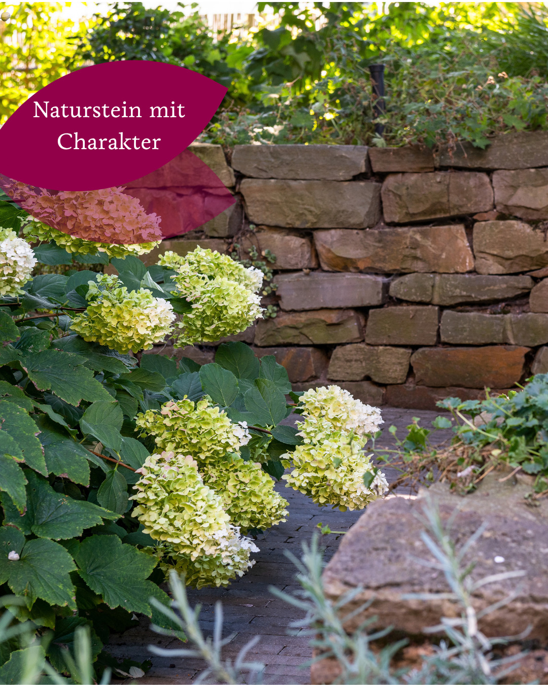 Naturstein bringt etwas in den Garten, das mit der Zeit oft nur noch schöner wird.
Als Mauer, Einfassung, Weg oder Terrassenbelag fügt er sich ganz selbstverständlich zwischen Pflanzen und Grün ein. Dabei kann er je nach Auswahl und Verarbeitung mal ruhig und zurückhaltend wirken oder selbst zum prägenden Gestaltungselement werden.
Und gerade das macht Naturstein so vielseitig.
Wo gefällt euch Naturstein im Garten am besten?
#gaertnervoneden #naturstein #gartengestaltung #garteninspiration #gartendesign